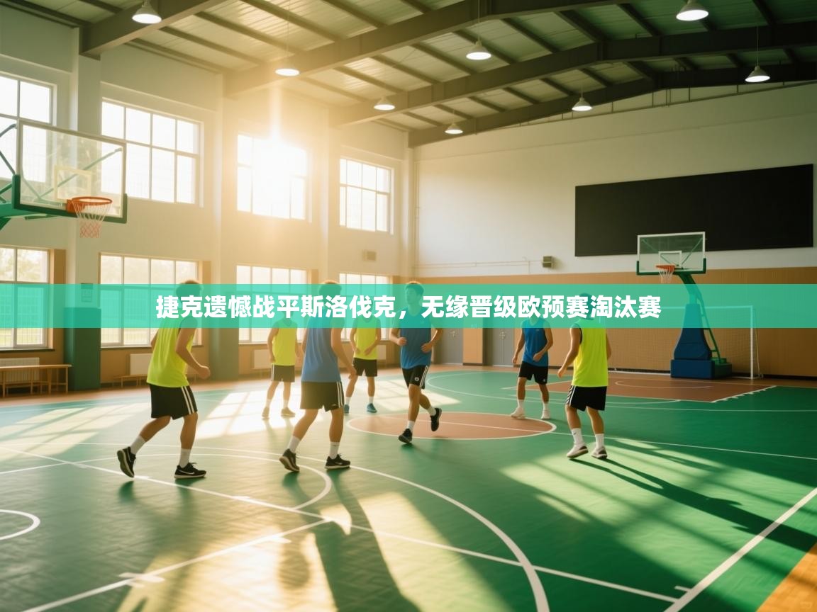 捷克遗憾战平斯洛伐克，无缘晋级欧预赛淘汰赛  第1张