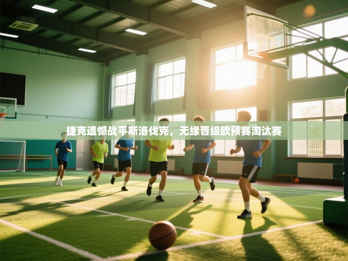 捷克遗憾战平斯洛伐克，无缘晋级欧预赛淘汰赛  第2张